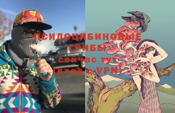 ГАЛЛЮЦИНОГЕННЫЕ ГРИБЫ Каменногорск