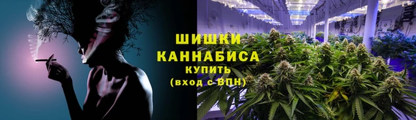 стаф Каменка