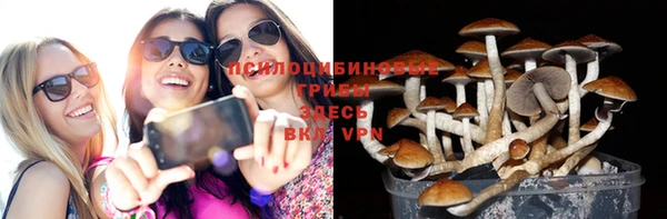 ГАЛЛЮЦИНОГЕННЫЕ ГРИБЫ Каменногорск