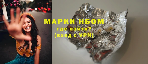 стаф Каменка