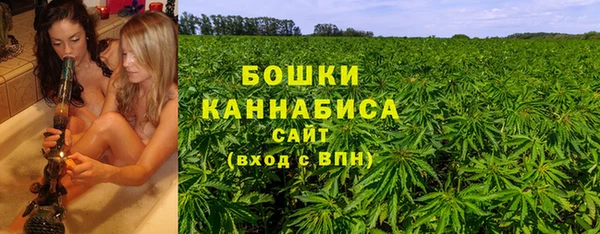 ГАЛЛЮЦИНОГЕННЫЕ ГРИБЫ Каменногорск