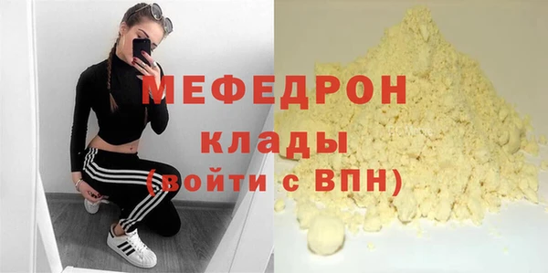 стаф Каменка