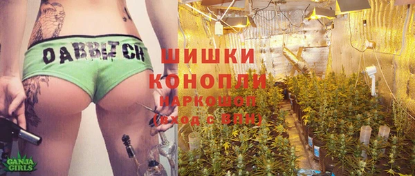 ГАЛЛЮЦИНОГЕННЫЕ ГРИБЫ Каменногорск