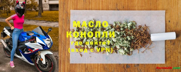 стаф Каменка