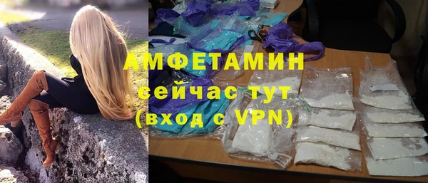 стаф Каменка