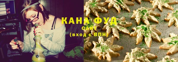 стаф Каменка