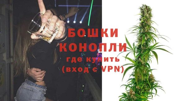 стаф Каменка