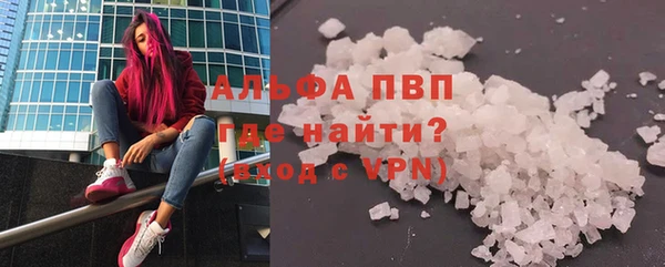 стаф Каменка